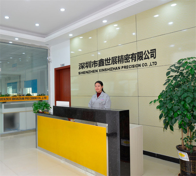 China Xinshizhan Precision Co., Ltd. Perfil da companhia