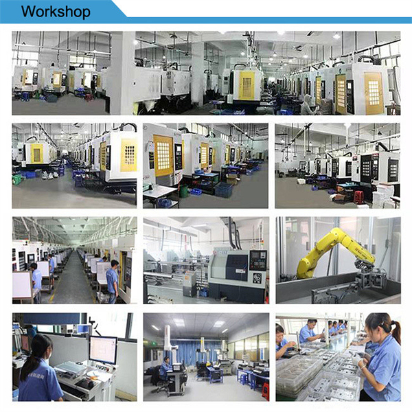 China Xinshizhan Precision Co., Ltd. Perfil da companhia